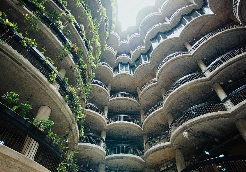 5 curiosidades sobre arquitetura sustentável que você precisa conhecer