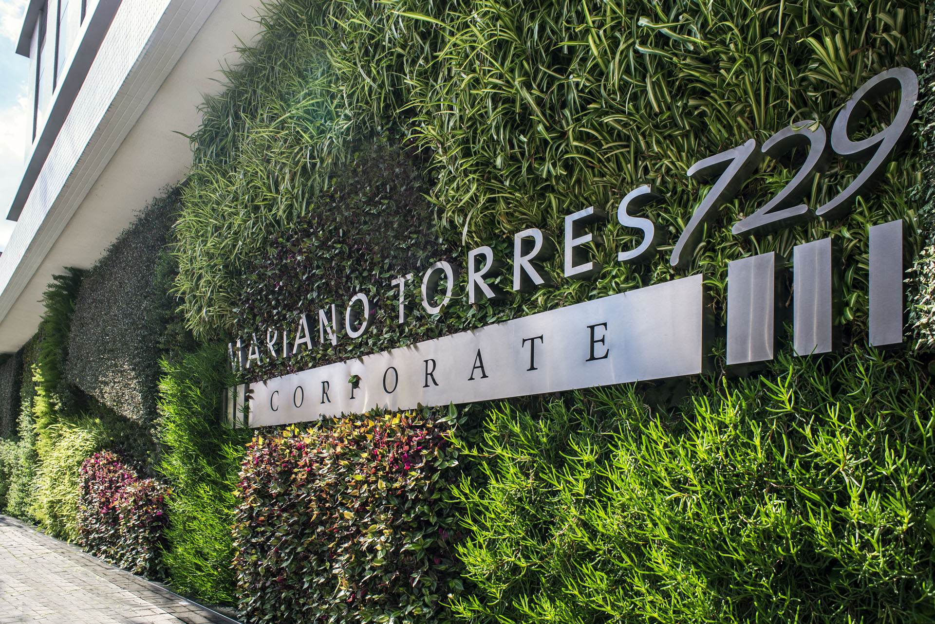Mariano Torres 729 Corporate 